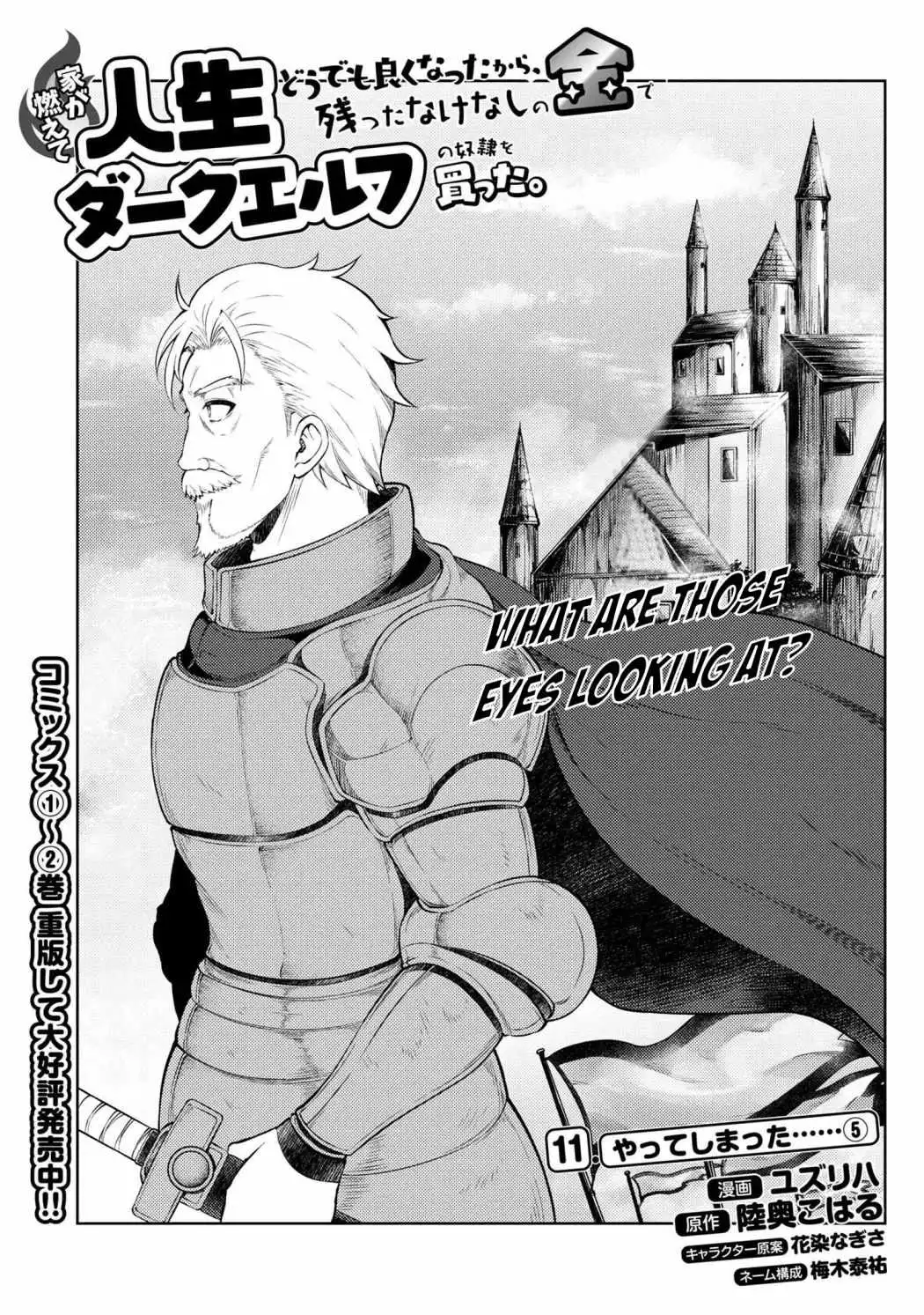 Ie ga Moete Jinsei Dou Demo Yoku Natta kara, Nokotta Nakenashi no Kin de Dark Elf no Dorei o Katta Chapter 11.5 2